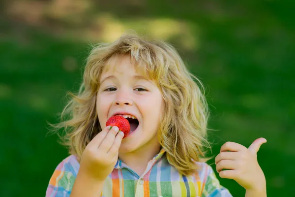 Child Boy Hold Plate Strawberry Park Strawberries Kids —  Fotos de Stock