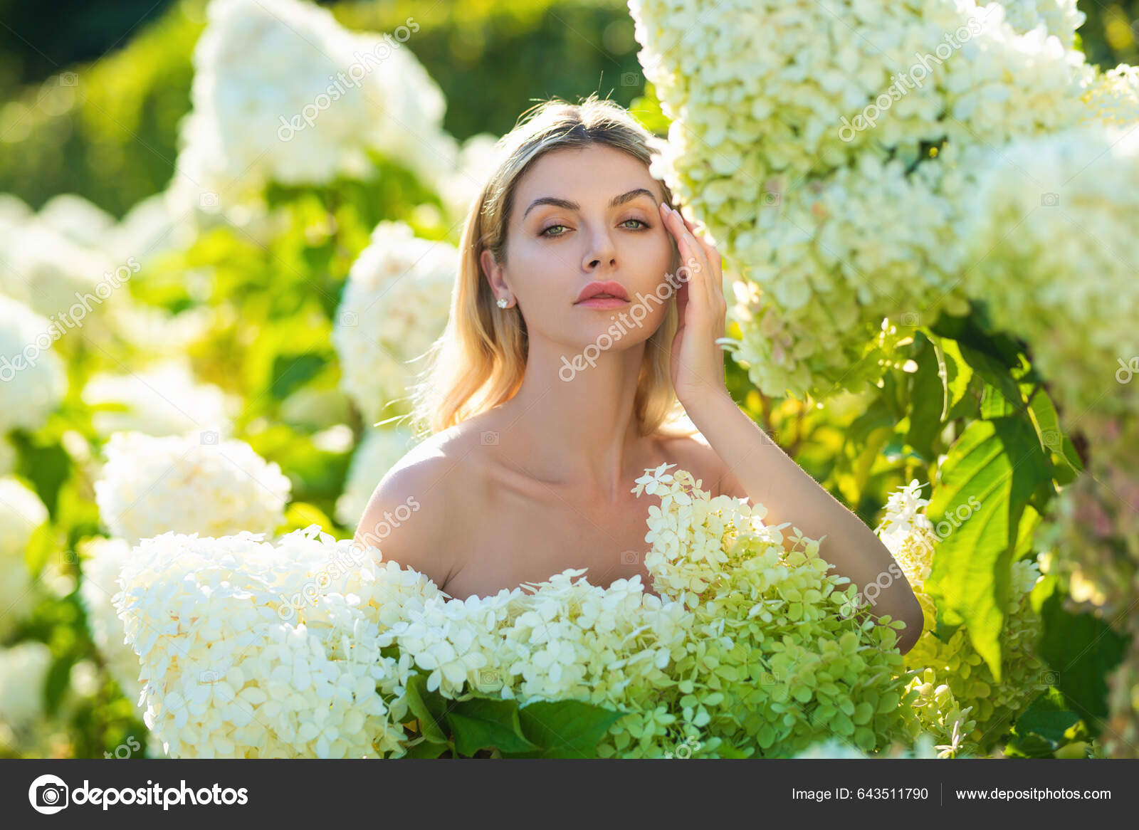 Hydrangea Girl