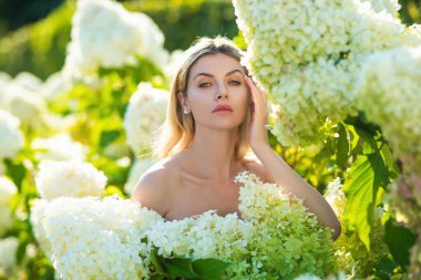 Young woman in hydrangea garden. Bushes of flowers in spring park. Girl with bouquet of hydrangea. Pretty woman with summer flowers. Stunning brunette girl with big bouquet of hydrangeas