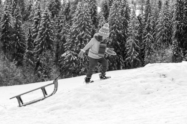 Παιδί Του Χειμώνα Στο Χιόνι Περπατάει Έλκηθρο Χαρούμενες Διακοπές Παιδικό — Φωτογραφία Αρχείου