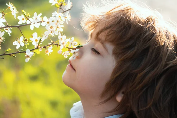 Feliz Infancia Niño Primaveral Con Árbol Flor Lindo Niño Jardín —  Fotos de Stock