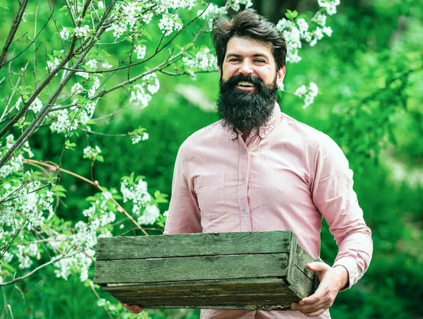 生活方式和家庭生活 工作中的专业园艺师 在一座城市的花园里 有胡子的园丁 成为有机农民 快乐的农民拿着盒子 — 图库照片