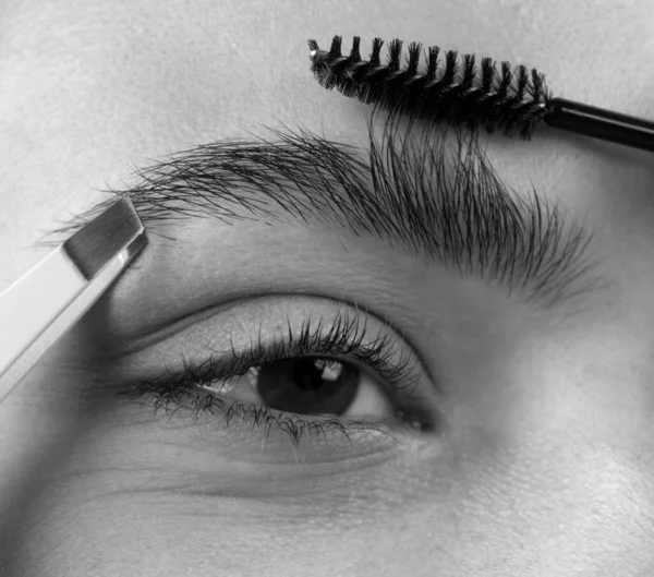 Womans Eyebrows Macro Close Brows Beautiful Girl Eyebrow Brush Girl — Foto Stock