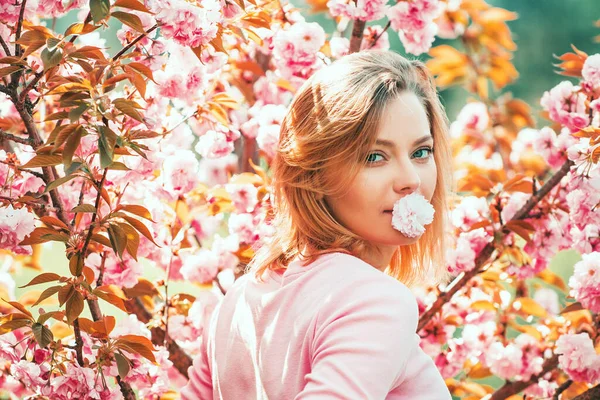 桜のイベントや場所 春の桜を背景にした女性 — ストック写真