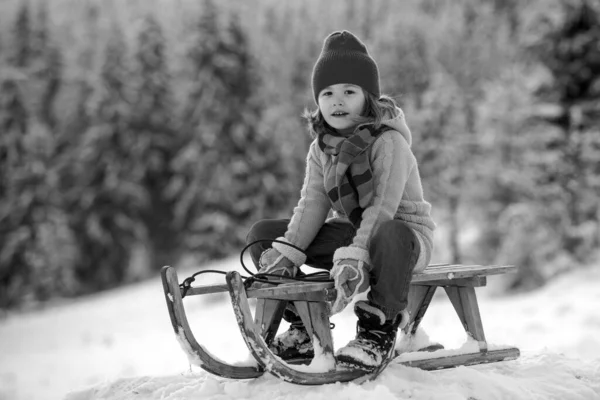 Winter Kids Child Boy Sliding Sled Snowy Park Little Boy — Stock Photo, Image