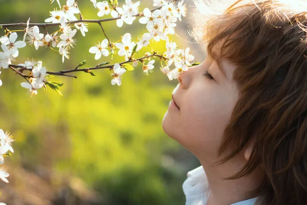 Criança Primavera Com Árvore Florescente Criança Bonito Jardim Flor — Fotografia de Stock