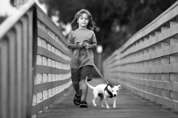 Kleine Jongen Die Een Hond Meeneemt Voor Een Wandeling Buiten — Stockfoto