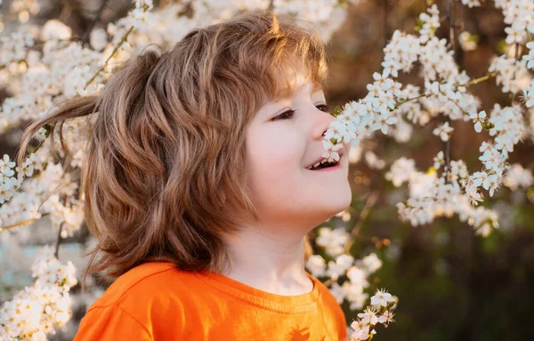 Παιδί Ανθισμένο Δέντρο Στο Ανοιξιάτικο Πάρκο Χαμογελαστό Αγόρι Έξω Κήπος — Φωτογραφία Αρχείου