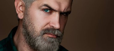 Professional model and professional photo shoot. Head and shoulders portrait of a bearded middle-aged man looking at the camera over a grey studio background with copy space