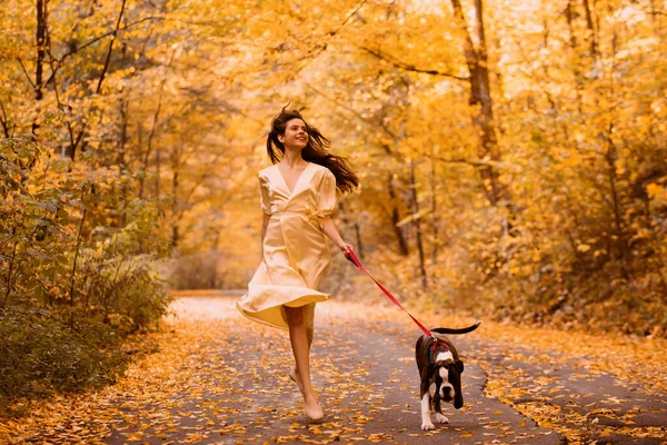 Молодая Женщина Собакой Парке Ветер Волосах Собакой Прогулке Осенней Природе — стоковое фото