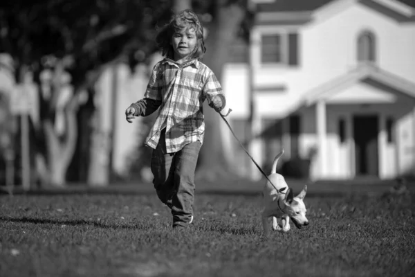 Kids insurance. Little boy kid running with dog, playing owner and pet in summer meadow. Happy Puppy. Family, parenthood, childhood concept