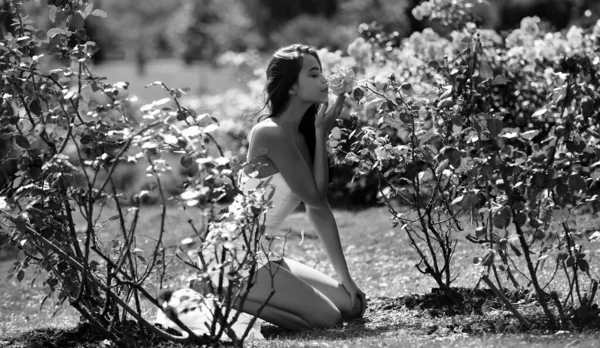 自然の美しさと香水の化粧品 ローズフィールドの春の女性 バラ園の外で官能的な女の子 女性は屋外レクリエーションを楽しむ — ストック写真