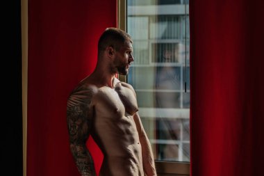 Man with naked body, muscular shoulders. Naked man in bed. Muscular sexy male body. Gay sexy model. Muscular sexy man with naked torso near window curtains. Hunk with athletic body. Guy enjoying night