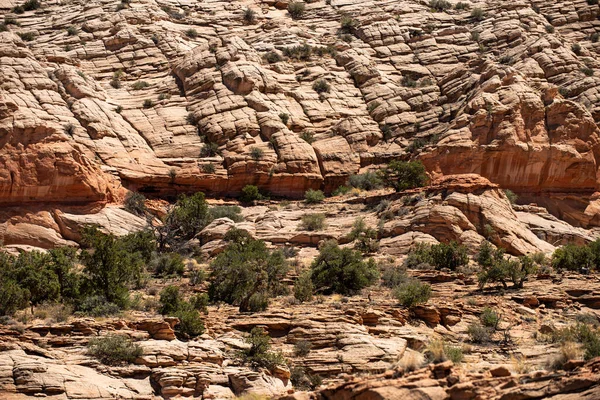 Ökendödsdalen Rock Canyon Bakgrund Stenig Konsistens Monumentdalen Naturskön Utsikt Över — Stockfoto