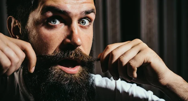 Funny man with long moustache. Bearded man with mustache, bearded excited gay