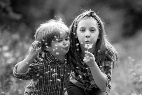Little Couple Valentines Day Enjoy Nature Cute Kids Blowing Dandelion — 스톡 사진