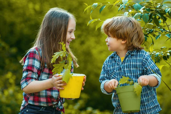 可爱的小孩在农场里玩得很开心 生态概念的孩子 和孩子一起园艺 — 图库照片