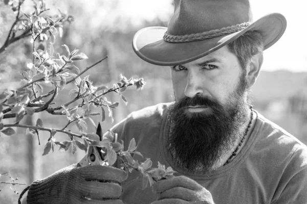 Portrait Bearded Farmer Grafting Branches Professional Gardener Work Close Portrait — Stock Photo, Image