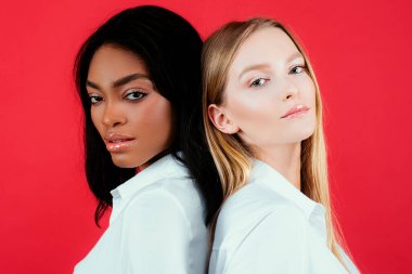 Çok ırklı lezbiyen kavramı. Karışık ulus kadın ilişkileri