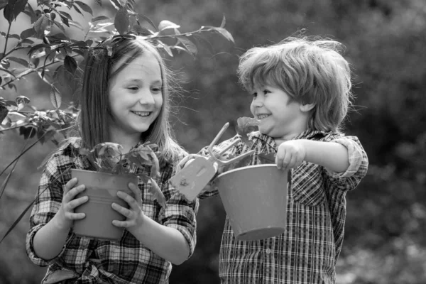 Šťastní Malí Farmáři Baví Poli Bratr Sestra Spolu Hrají Zahradě — Stock fotografie