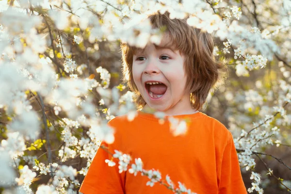 咲く木と春の幸せな子供 サマーパークガーデンのコンセプト 笑顔の男の子屋外 — ストック写真
