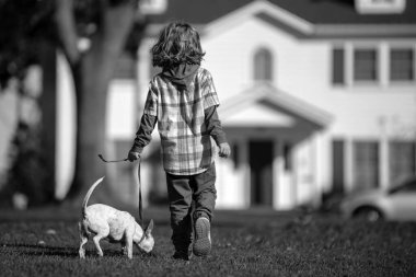 Çocuk ve köpek yavrusu dışarıda. Mutlu çocuk ve köpek arka bahçede oynuyorlar. Hayvan yürüyüşü