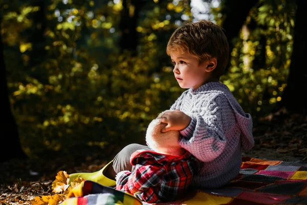 Oyuncak Ayı Oyuncak Orman Arka Plan Ile Çocuk Sevimli Çocuk — Stok fotoğraf
