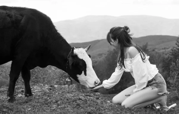 Nek Besleyen Kadın Çayırda Holstein Ineği Olan Çiftçi Kız Çiftçi — Stok fotoğraf