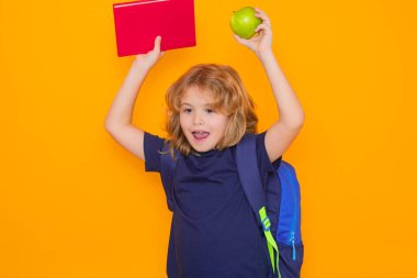 Okul çocuğunun stüdyo portresi. Stüdyonun sarı arka planında izole edilmiş bir öğrenci. Okula dönelim. İlkokuldan elinde kitapla komik bir çocuk. Eğitim