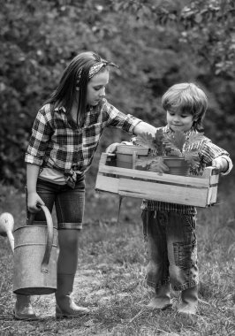 Erkek ve kız kardeş bahçede birlikte oynuyorlar. Bahar günü bahçede çiçek sulayan sevimli küçük bir oğlan ve kız. Küçük mutlu çiftçiler tarlada eğleniyor.
