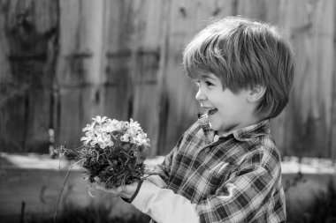 Güneşli bahar gününde bahçede çiçek sulayan tatlı bir çocuk. Çevre hayatı. Küçük bahçıvan. Tarlalarda mahsul ekme. Çocuk bakımı bitkileri