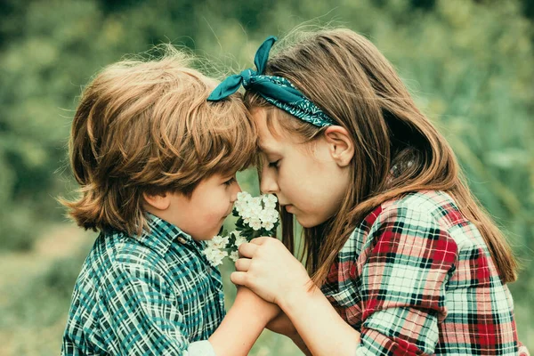 Çocuklar Çayırda Oturmuş Karahindiba Çiçekleri Üflüyorlar Mutlu Neşeli Oluyorlar Küçük — Stok fotoğraf