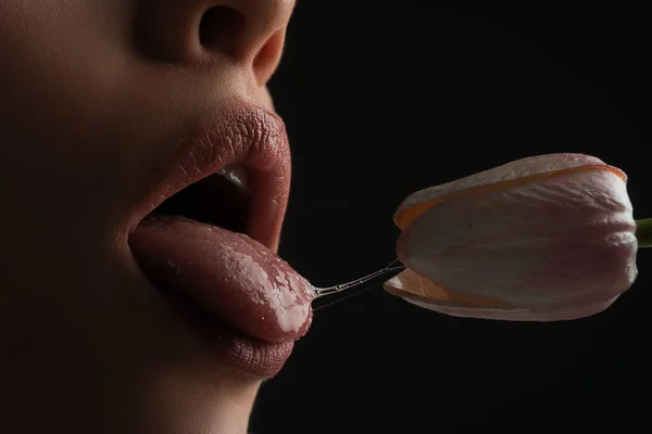 Oralsex Orgasmus Blowjob Blume Lecken Mädchenlippen Mit Tulpen Sinnlich Sexy — Stockfoto