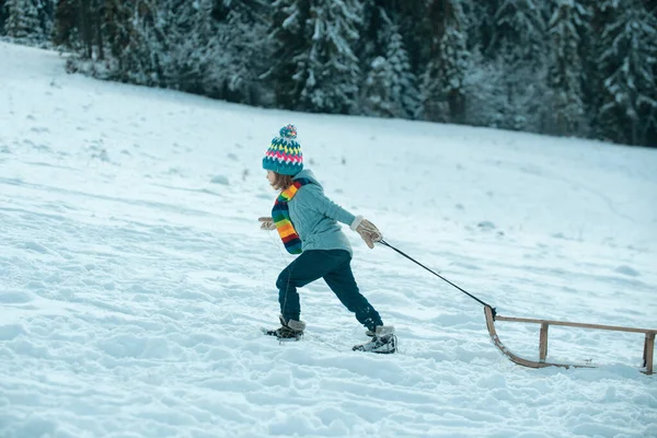 Χειμερινά Παιδιά Διασκεδάζουν Έλκηθρο Χειμερινοί Υπαίθριοι Αγώνες Χαρούμενες Διακοπές Παιδικό — Φωτογραφία Αρχείου
