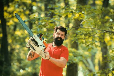 Oduncu oduncu. Oduncu gibi poz veren şık bir genç adam. Oduncu işçi ormanda elektrikli testereyle dikiliyor. Elektrikli testere
