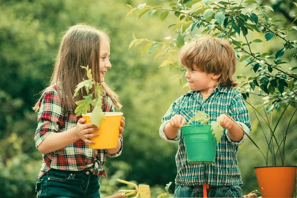 Planting Flowers Pot Pretty Cute Kids Working Playing Beautiful Garden — Stock Photo, Image