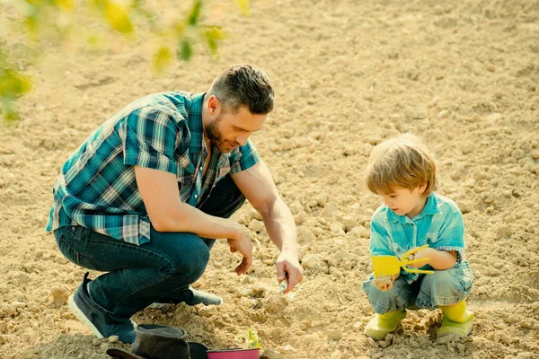彼の息子が彼を助けている間 幸せな若い父親は木を植えました 庭の父と息子の園芸 — ストック写真