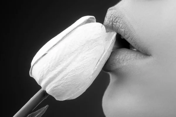 Mädchenlippen Mit Tulpen Oralsex Blume Lecken Blowjob Und Kuss Sinnlich — Stockfoto