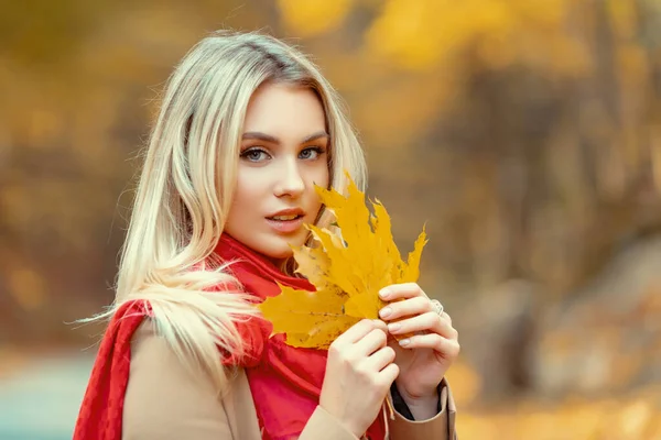 落ちた黄色の葉を持つ魅力的な女性 明るい赤居心地の良い暖かいスカーフを身に着けている女の子 天使の美しさとブロンドの肖像画を閉じます 公園を歩く秋の女王 — ストック写真