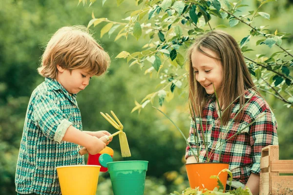 子供たちはポットに花を植える 春の畑で働く2人の幸せな子供たち — ストック写真