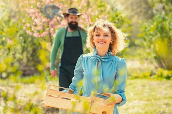 有機果物や野菜を販売する中小企業のオーナー 2人が農業分野を歩いている 農地での笑顔のカップル — ストック写真