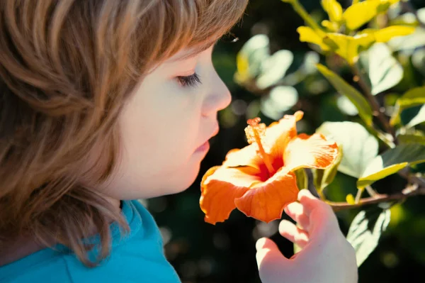 Άνοιξη Αλλεργία Δωρεάν Παιδί Sniffs Παιδί Ανθισμένα Δέντρο Χαριτωμένο Παιδί — Φωτογραφία Αρχείου