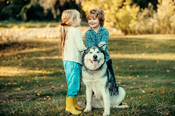 Αστεία Παιδιά Αδελφός Και Αδελφή Και Σκύλος Μαζί Στο Πάρκο — Φωτογραφία Αρχείου