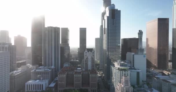 Αεροφωτογραφία Λος Άντζελες Στο Κέντρο Του Λος Άντζελες Αστική Πόλη — Αρχείο Βίντεο
