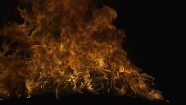 Tűz Fekete Háttérben Absztrakt Tűzláng Háttér Nagy Égő Tűz Égő — Stock videók
