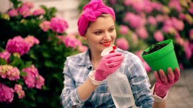 Bahçıvan kadın bahçeye çiçek eker. Bahçıvanlık ve çiçekçilik. Çiçek bakımı. Çiçekleri tencerede suluyorum. Mutlu genç bahçıvan ortanca bitkileri seçiyor.