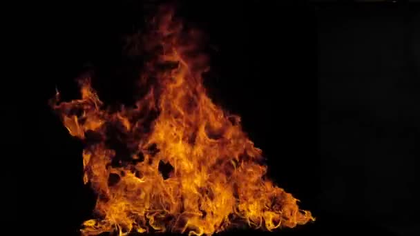 Das Feuer Die Brennende Flamme Großes Loderndes Feuer Lodernde Feuerflamme — Stockvideo