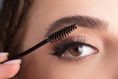 Closeup eyebrows with eyebrow brush. Close up brows, eyebrows lamination. Brow procedures. Long eyelashes, eyebrows, macro