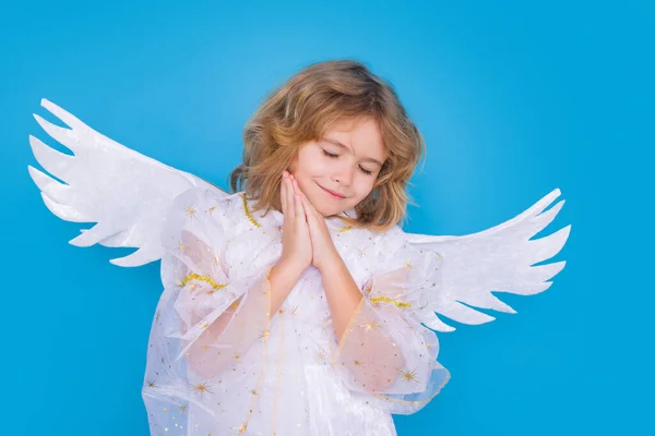 かわいい天使の子スタジオの肖像画 天使の羽を持つブロンドの巻き天使の子 隔離された背景 — ストック写真