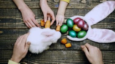 Mutlu Paskalyalar. Anneler ve çocuklar Paskalya yumurtası boyuyor. Mutlu aile, tahta masa manzaralı Paskalya için hazırlanıyor. Eller masada tavşanı besliyor.
